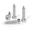 Acero Inoxidable 304 Ha Tornillos Autorroscantes de Cabeza Cilíndrica con Hexágono Interior Tornillos Autorroscantes de Cabeza de Copa Tornillos Autorroscantes para Audio M2M8