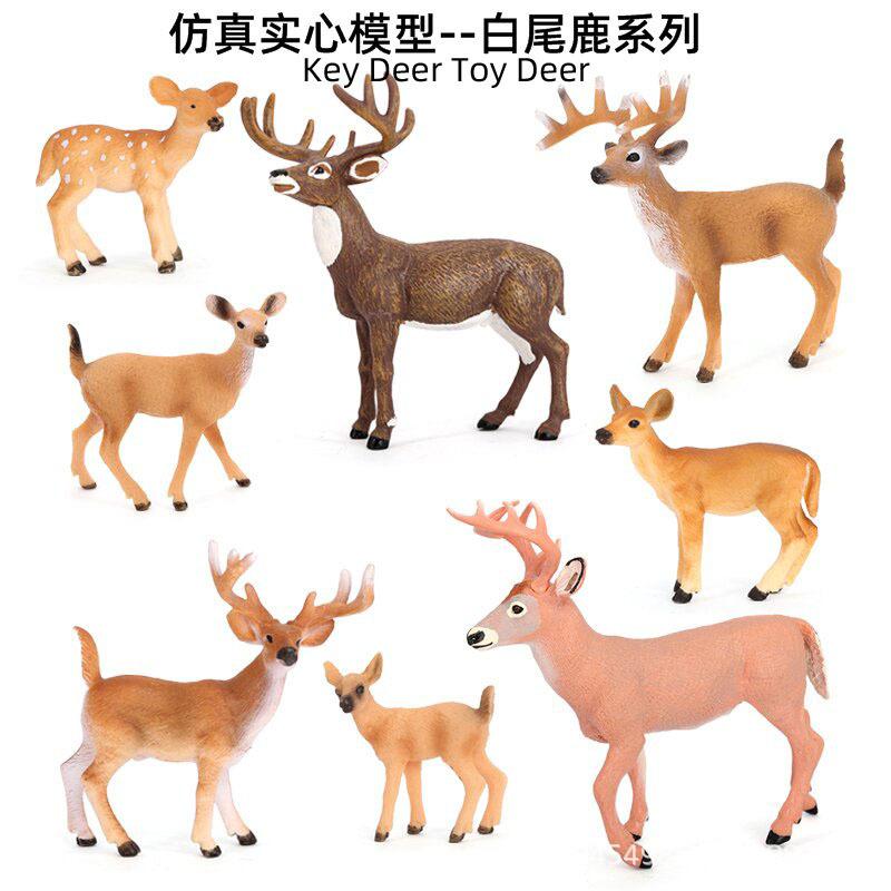 主图
