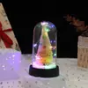 Enfeites de Árvore de Natal de Mesa Personalizados, Luzes Noturnas Luminosas, Coberturas Decorativas de Vidro, Presentes de Natal, Feitos à Mão de Alta Simulação