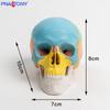 Mini Crânio Colorido Removível Modelo 3 Peças Arte Oral Referência Crânio Cabeça Escultura Removível Esboço