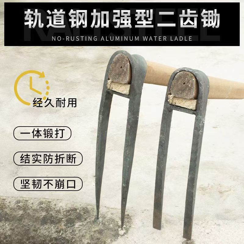 微信图片_20240519151302