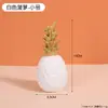 Piña Libro Decoración de Escritorio Casa Modelo Muebles Blandos Entrada Estantería para Libros Gabinete de Vino Adornos de Resina Artesanía Hecho a Mano