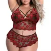 Conjunto de Encaje de Dos Piezas para Mujer Tallas Grandes Transfronterizo, Conjunto Sexy de Sujetador y Bragas sin Tirantes con Bloques de Color, Ropa de Casa al por Mayor 5