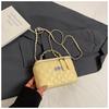 Bolso Bordado Lingge para Mujer 2025 Nueva Llegada Primavera y Verano Combinación Total Bolso Cruzado de Cadena Bolso Cuadrado Pequeño Portátil de Moda