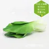 Venta al por mayor directa de fábrica de todo tipo de verduras de tacto de alta simulación PU verduras falsas PU simulación pepino col