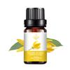 Aceite esencial de Ylang Ylang aceite de Ylang Ylang aceite esencial de aromaterapia aceite esencial único aceite esencial vegetal fabricante transfronterizo de Amazon 10ML