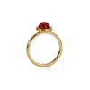 Anillo Sencillo Fino de Acero de Titanio con Piedra Natural Colorida Ágata Roja Amatista en Polvo Anillo de Dedo para Mujer Chapado en Oro de 18K