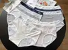 Roupa Íntima Feminina Novo Estilo Modal Sem Costura Amiga da Pele Fashionável Confortável Listrada Cintura Média Calcinhas para Meninas Preço Especial Atacado