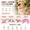 Corda-P para cachorro cor de macaron, corda redonda de PP durável, guia de treinamento para cães, guia de passeio para animais de estimação com corrente P integrada, em estoque