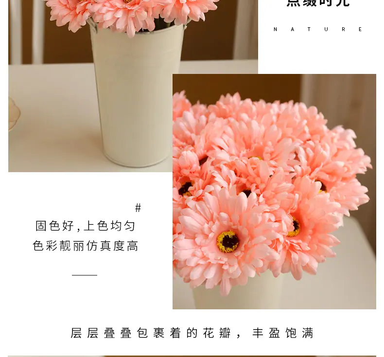 短枝菊-花_11.jpg