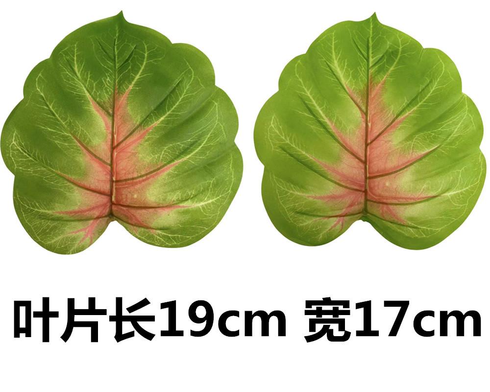 未命名_副本66