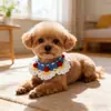 Cachecol de Lã Puramente Tricotado à Mão para Gatos e Cachorros, Babador Estilo Branca de Neve, Cachecol Fofo para Pet, Adereço para Foto