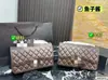 2023 Nuevo Bolso Cruzado de Hombro con Cadena para Mujer Estilo Europeo y Americano Bolso Bordado Lingge 1116
