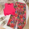 Conjunto de Moda Verano 2026: Conjunto de Dos Piezas con Estampado y Pantalón Largo Floral del Noreste, Exclusivamente para Ventas Transfronterizas