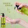 Bobv Aceite de Árbol de Té Aminoácidos Control de Grasa Champú Esponjoso Limpieza Profunda Refrescante Control de Grasa Champú Suave Esponjoso