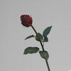 Flor Artificial Única Imitação Rosa Borda Queimada Seca Única Dia dos Namorados Casamento Decoração Arranjo Floral Núcleo Floral Fiado