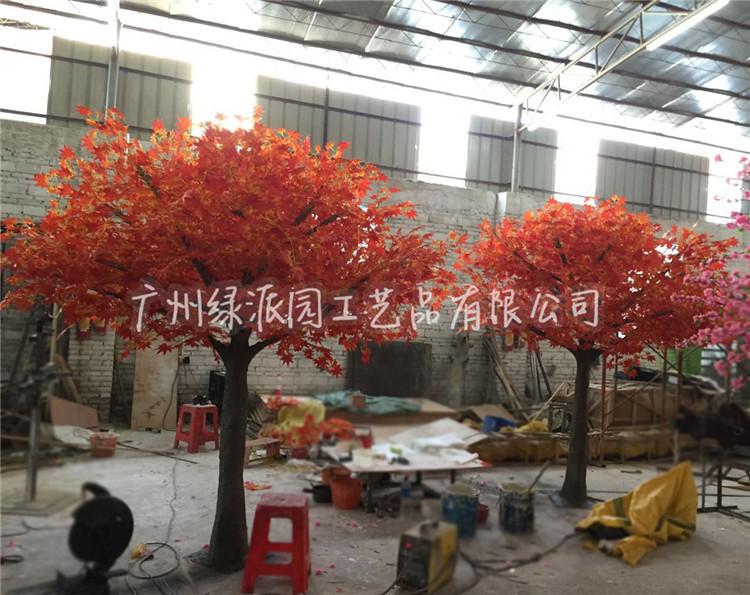 红枫树27.jpg