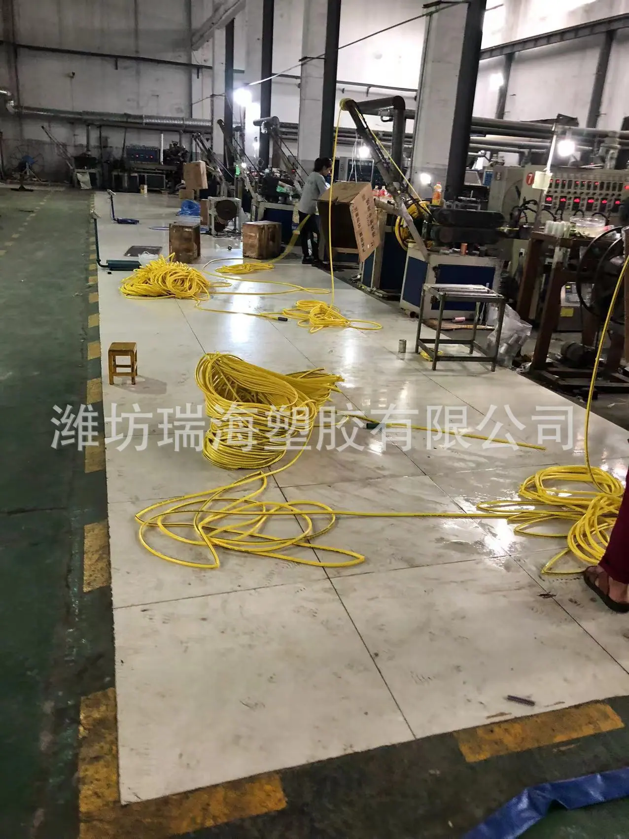 综合照片