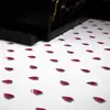 Impresión Digital sobre Tejido de Punto de Algodón, Fibra de Bambú Natural Ecológica Fresas Impresión Digital Directa Procesamiento de Recubrimiento