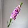 Simulação grande violeta delphinium flor de seda casamento hotel flor decorativa Amazon buquê de comércio exterior de alta qualidade atacado