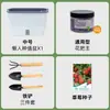Maceta para plantar verduras en balcón, caja para cultivar verduras en casa, maceta auto-riego para fresas de interior, maceta de plástico para personas perezosas