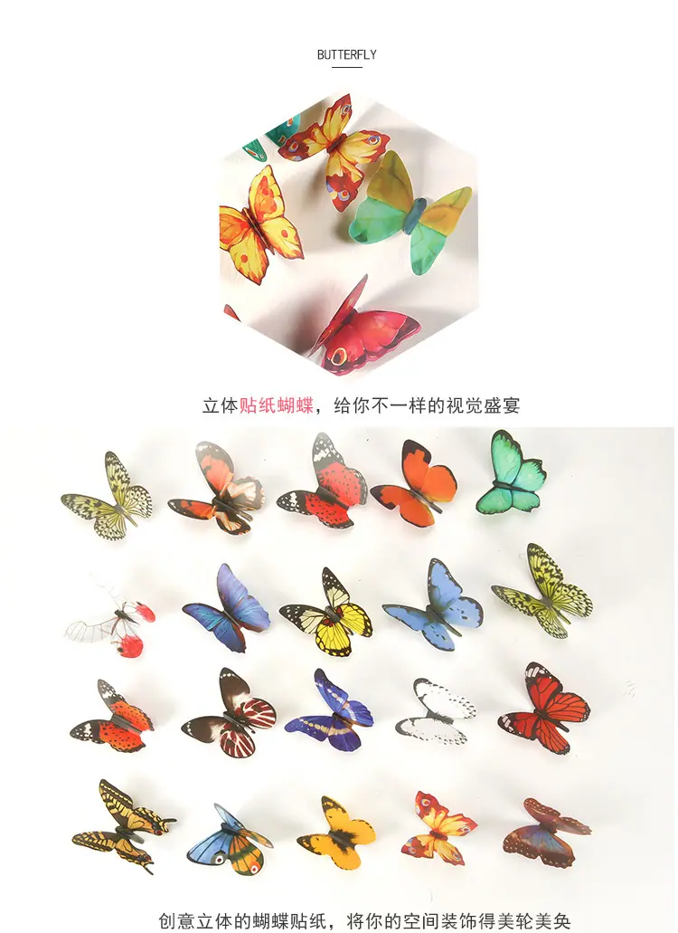 蝴蝶_09.jpg