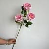 Nuevas 3 Flores Artificiales Austin Rose Flores de Boda Ramo de Flores Falsas Flor de Seda de Alto Sentido Floricultura Decorativa