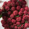 Flores Frescas de Rosas de Múltiplas Cabeças no Atacado, Entrega Direta da Base de Yunnan, Rosas Bolha, Flores para Casamento, Fornecimento de Flores para Decoração de Casamento
