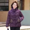 Casaco de Mãe Moderno Novo Jaqueta de Algodão com Penas Outono/Inverno Espessa Quente Gola Alta Roupas de Algodão Tamanho Plus Roupas para Mulheres de Meia-Idade e Idosas