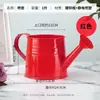 Regalo de agradecimiento por el Día del Maestro: regadera de hierro para jardineros, adecuada para regar, floristería, ramo de flores, arreglo floral, decoración floral