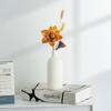 Vaso de Cerámica Artístico Blanco Liso Nórdico Espacio de Sala de Exposiciones de Diseñador Decoración Suave Suministro al por Mayor Recipiente para Exhibición de Flores Secas
