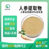Ginsenósido 80% Extracto de Ginseng en Polvo 50% Materia Prima de Ginseng Bebida Sólida Soluble en Agua Sub-empaquetado Fábrica Ahora Disponible