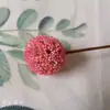 Cailuotong Passepartout Flores Secas Flores de Fruta Seca Literario Pequeño Fresco Arreglo Floral Hecho a Mano Decoración para Sala de Estar Dormitorio Pantalla