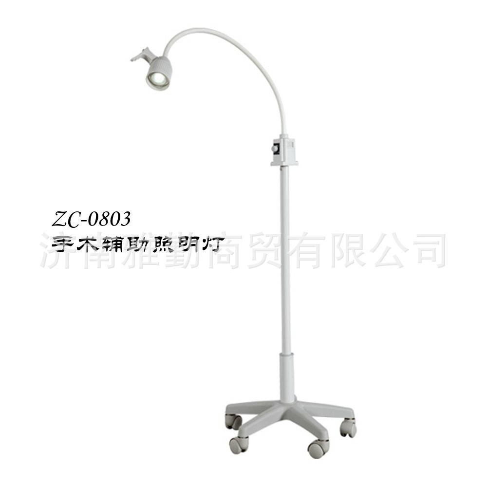 ZC0803 LED检查灯主图.png