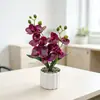 Planta de Vaso de Orquídea Phalaenopsis Artificial Haste Dupla 10 Flores Bonsai Cena de Fotografia Doméstica Arranjo Sensação de Alto Padrão Planta Artificial Verde