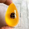 Colgante de Ámbar con Espécimen de Insecto Real Ámbar Insecto Gota de Agua con Forma de Insecto Escorpión Mariposa Abeja Flor Ámbar Transmisión en Vivo Venta al por Mayor