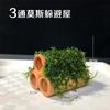 Musgo para Paisajismo de Acuarios Madera a la Deriva Plantas Acuáticas Naturales Reales Hierba Musgo Ficus de Madera Negativa Pecera Ecológica Árbol de Musgo