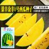 Jinfeng No. 1 Semente de Melancia, de Maturação Precoce, Casca Verde, Polpa Amarela, Crocante e Refrescante Sementes de Melancia para Presente em Base de Terra Arável