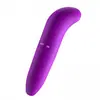 Suministro de productos para adultos, artículos novedosos para parejas, venta al por mayor de productos para adultos, artículos en stock, vibradores para mujeres y juguetes sexuales