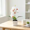 Olla de arena negra con 5 orquídeas Phalaenopsis artificiales, arreglo floral artificial para sala de estar, mueble de TV, decoración floral de escritorio