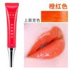 Bordado silenciosamente rubí brillante esencia labial brillo labial brillo labial duradero no fácil de desvanecer crema labial roja decoloración