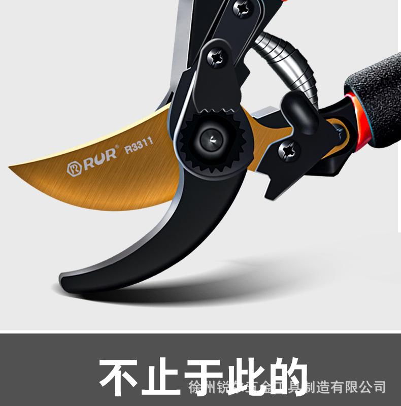 详情_05.jpg