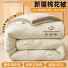 Colcha nueva de jacquard clase A de algodón de Xinjiang, colcha de invierno, engrosada y cálida para el invierno, colcha de primavera y otoño, colcha fina