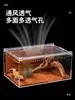 Terrário de Acrílico para Répteis Gecko Lagarto Árboreo Sapo Cornudo Aranha Caixa de Criação Paisagismo Desértico Tanque Anfíbio