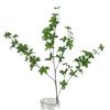 Relógio de Parede Único de Planta Simulada Madeira Bêbada de Cavalo Planta Verde Atacado Adereços de Fotografia Enfeites de Decoração de Interiores Comércio Transfronteiriço