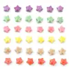 Estrella de Cerámica Estrella de Cinco Puntas Color Crema con Perlas DIY Joyería Hecha a Mano Pulsera Collar Cadena de Teléfono Móvil Accesorios Material