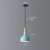 Lámpara Colgante de una Sola Cabeza Transfronteriza con un Toque de Lujo, Estilo Nórdico de Moda Color Crema, Lámpara para Mesa de Comedor y Mesa de Noche, Lámpara Colgante de Arte Minimalista Moderno
