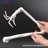 Modelo de Enseñanza Esquelética del Miembro Superior Derecho Escápula Clavícula Anatomía Precisa Ortopédico Entrenamiento Demostración Anotación Materiales Didácticos