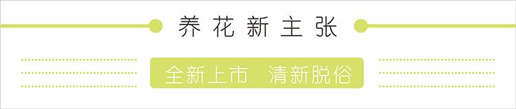 养花新主张