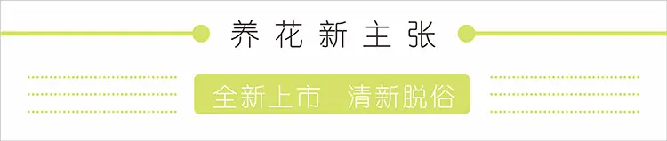 详情页1